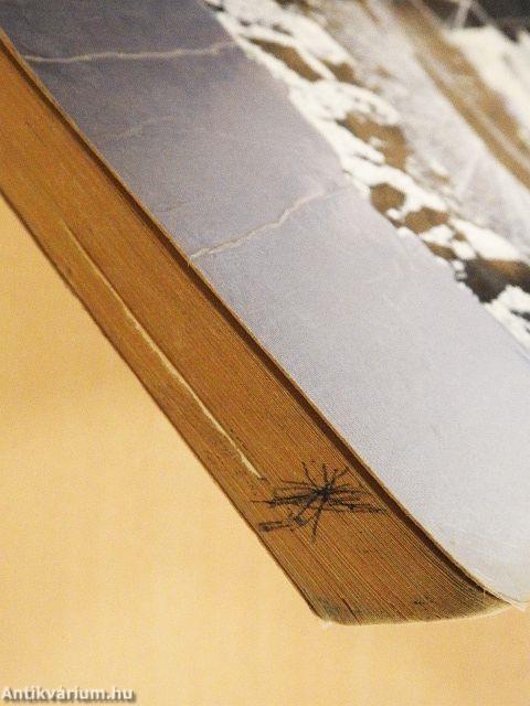 A globális világ felé