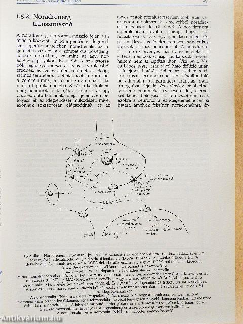 A pszichiátria magyar kézikönyve
