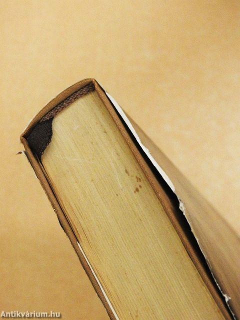 Teréz, a kedves halhatatlan