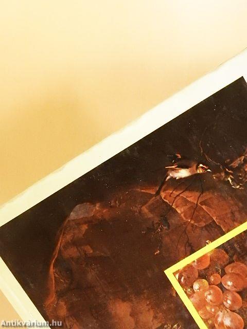 Virágok, madarak...