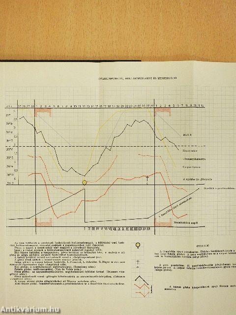 A tökéletes házasság