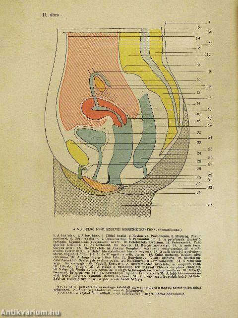 A tökéletes házasság