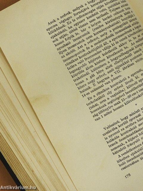 A tökéletes házasság