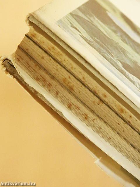 Születő óceánok - haldokló tengerek