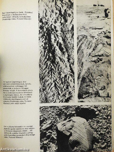 Születő óceánok - haldokló tengerek