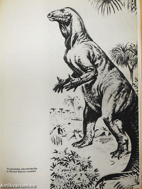 Születő óceánok - haldokló tengerek