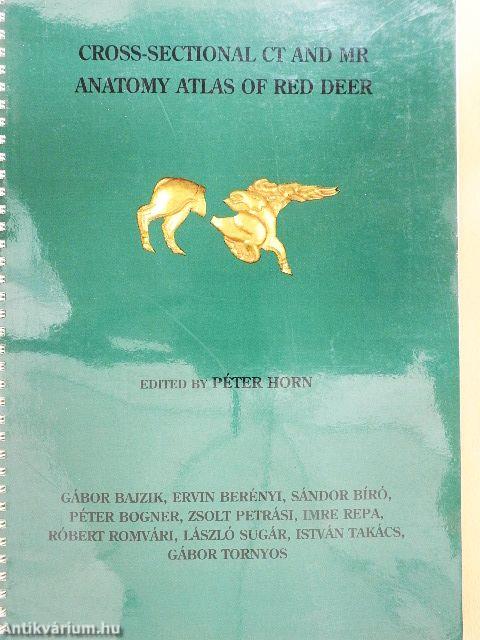 Cross-Sectional CT and MR Anatomy Atlas of Red Deer - Lemezzel