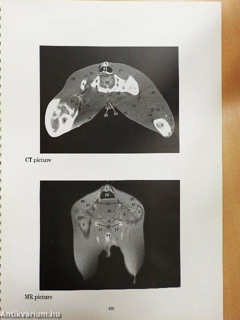 Cross-Sectional CT and MR Anatomy Atlas of Red Deer - Lemezzel