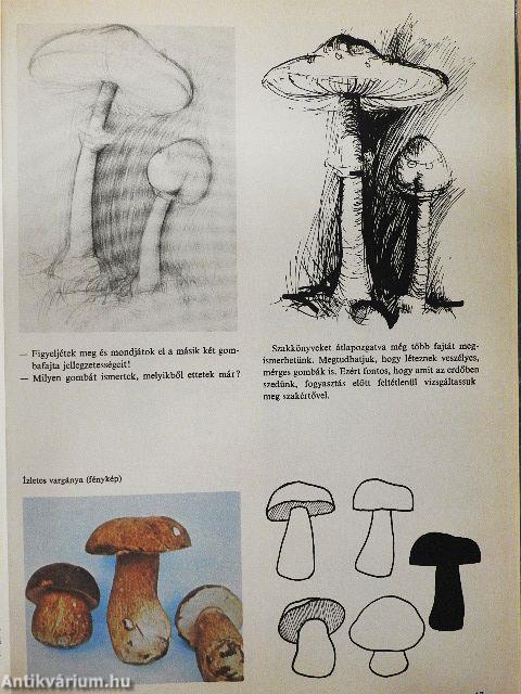Ábrázolás és művészet