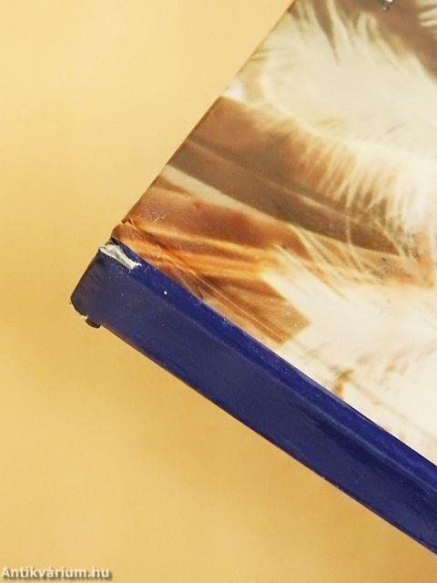 A világ legegzotikusabb tájai