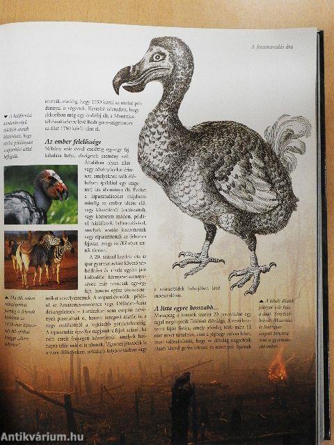 A természet titokzatos világa