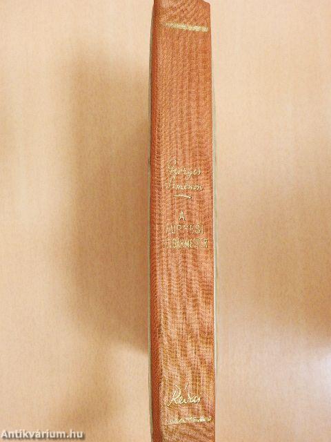 A furnesi polgármester