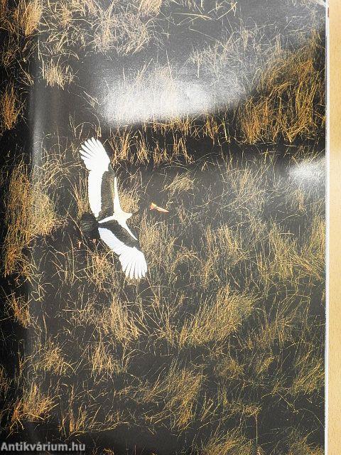 Africa Geographic December 2002/January 2003