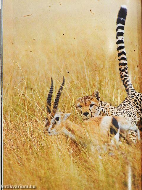 Africa Geographic July 2007