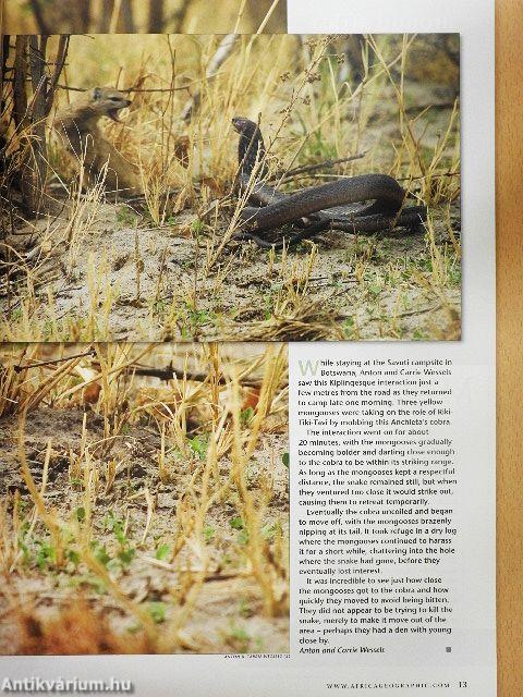 Africa Geographic May 2007