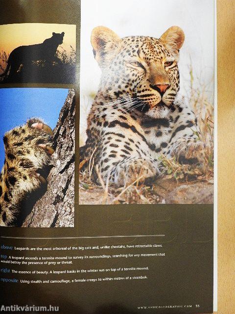 Africa Geographic February 2009