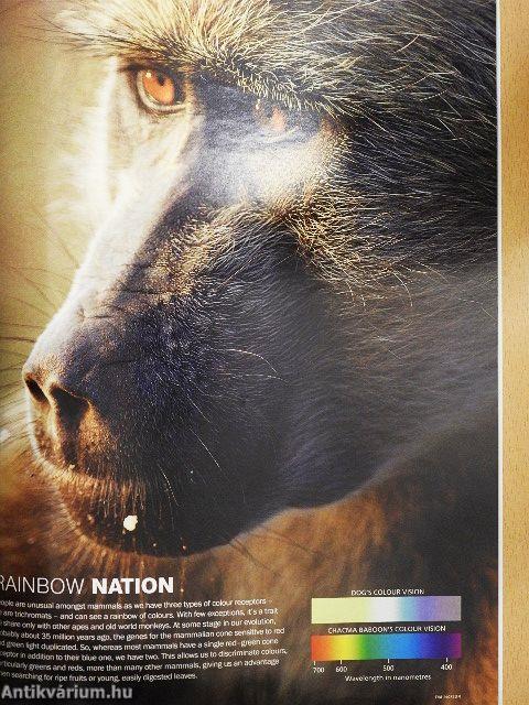 Africa Geographic February 2009