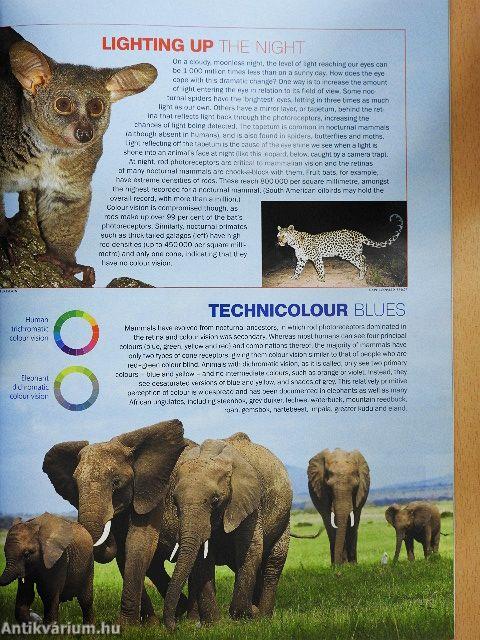 Africa Geographic February 2009