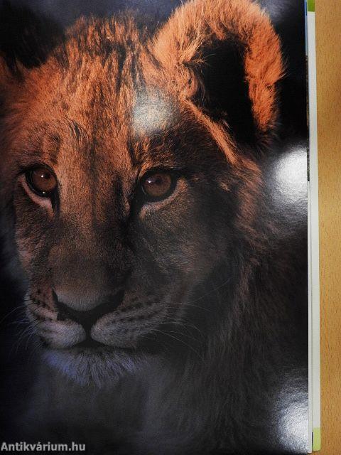 Africa Geographic April 2008