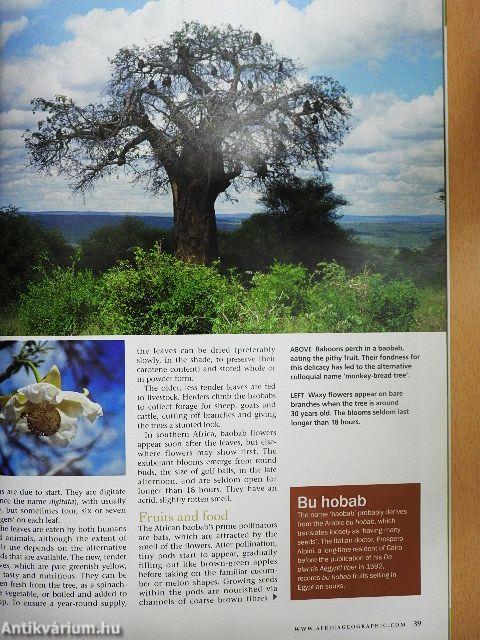 Africa Geographic February 2008