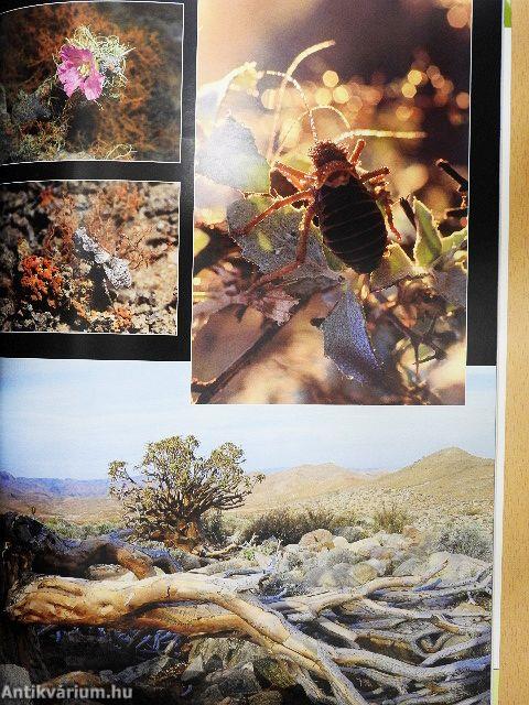 Africa Geographic September 2007