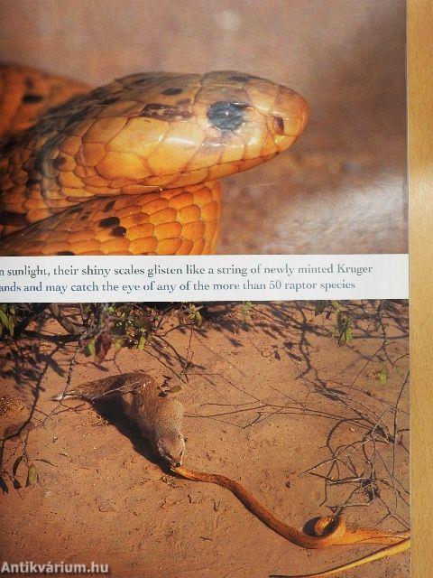 Africa Geographic December 2006/January 2007