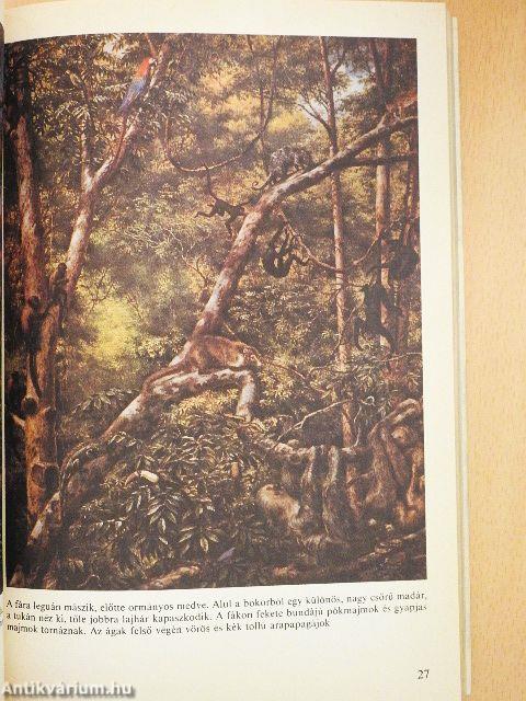 Búvár évkönyv 4.