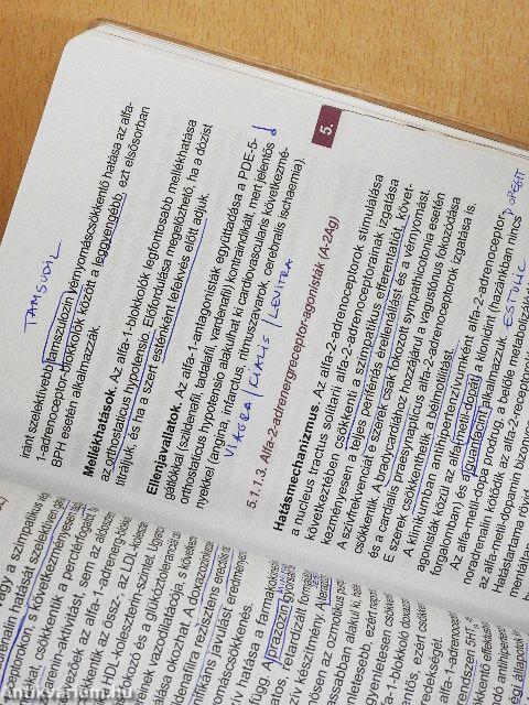 Hypertonia és nephrologia a háziorvosi gyakorlatban