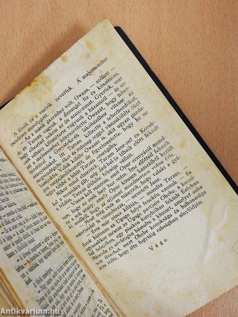 Tarzan és az aranyszőrű oroszlán