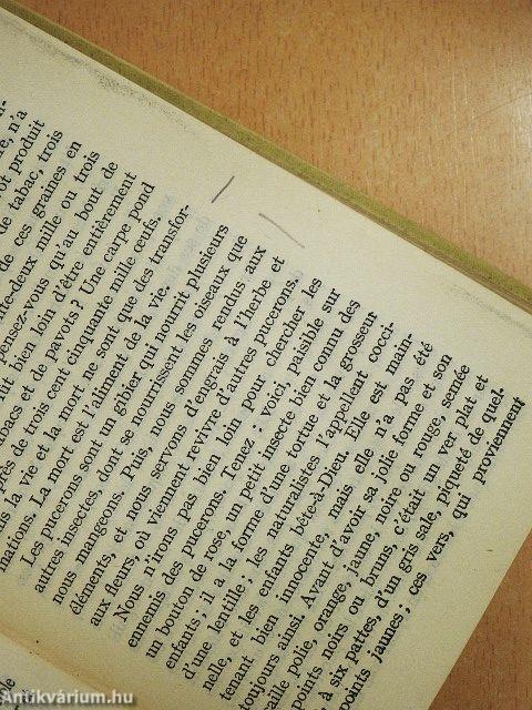 Voyage autour de mon Jardin