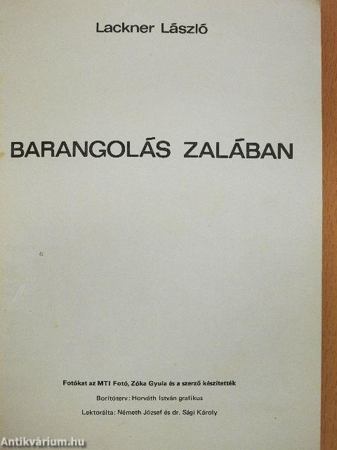 Barangolás Zalában