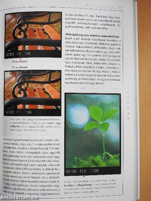 A digitális fotózás műhelytitkai kezdőknek