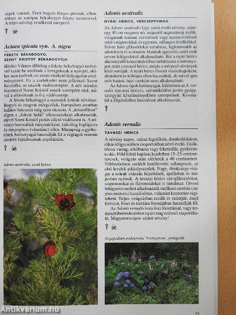 Gyógynövények enciklopédiája