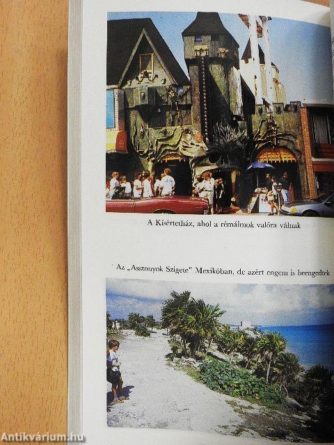 Iskolabusszal Amerikában