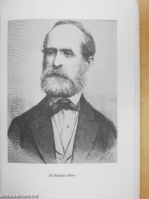 Házmán Ferenc, Buda utolsó polgármestere