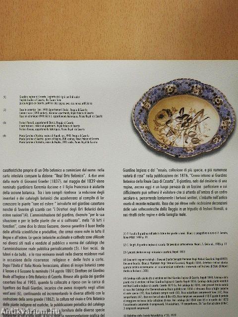 Le rose del giardino inglese di caserta