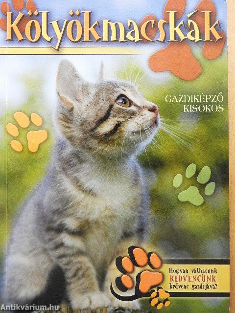 Kölyökmacskák 