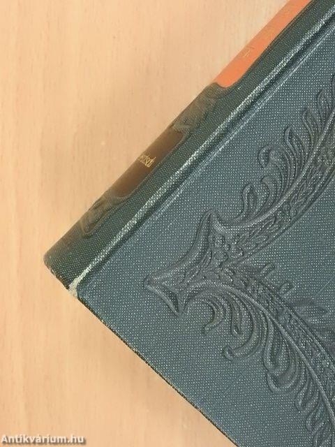 Taschenwörterbuch der russischen und deutschen Sprache I.