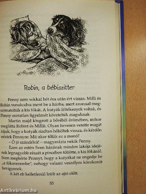 Fókabébi veszélyben