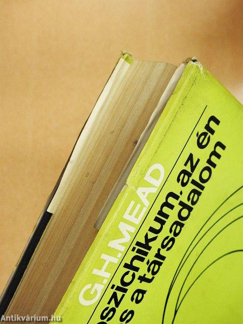 A pszichikum, az én és a társadalom