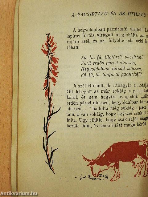 Erdőn innen, hegyen túl