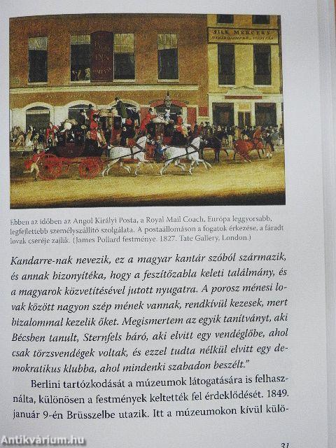 Egy elfeledett Széchényi