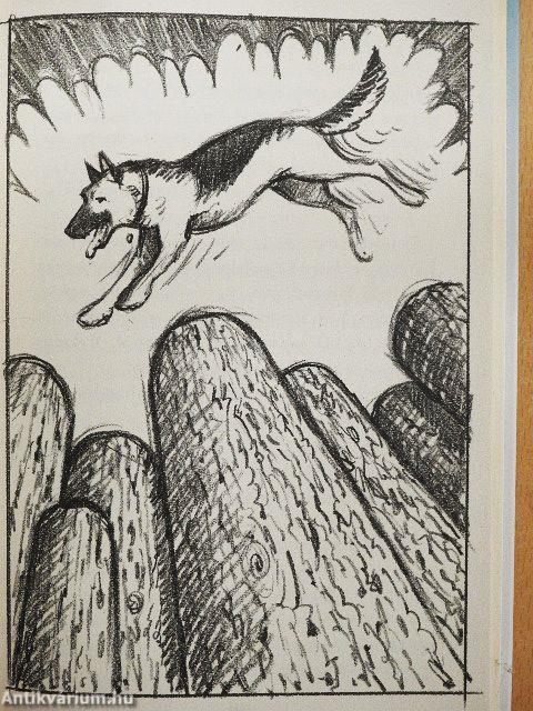 Egy kutya négy élete: Ellie