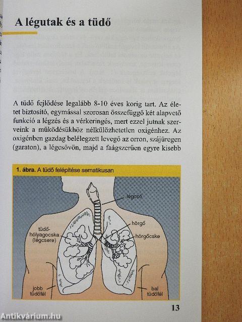 Asztmás a gyermekem