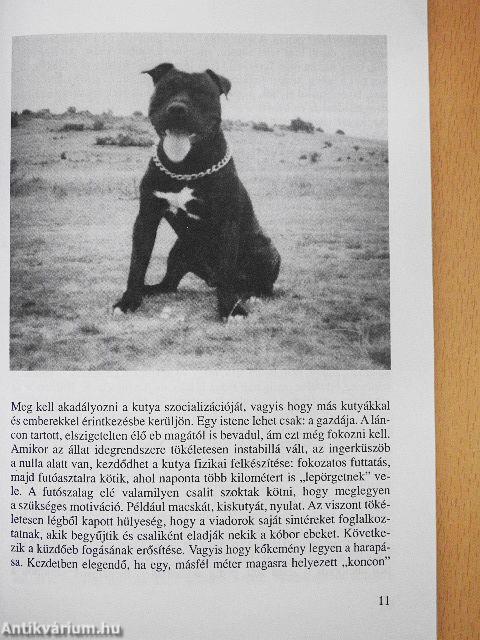 Az ítélet: halál?