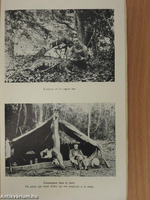 Les bétes sauvages de l'Amazonie et des autres régions de l'Amérique du Sud