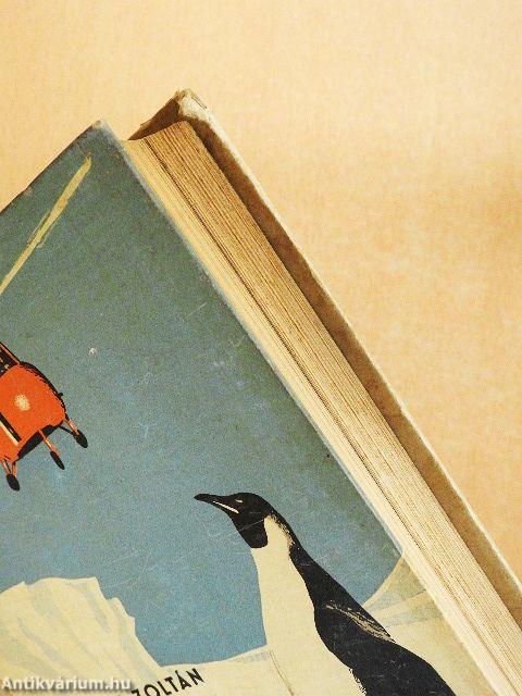 A titokzatos Déli-sark