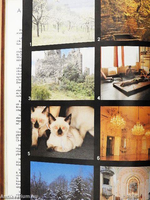 Fotó 1984. január-december