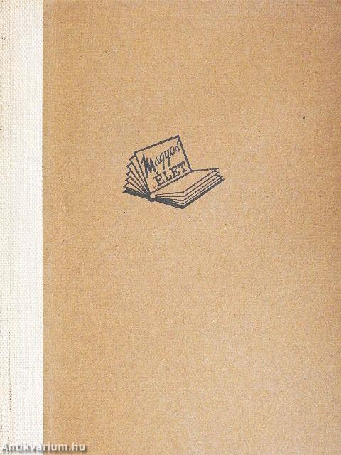 Nagy vállalkozások kora