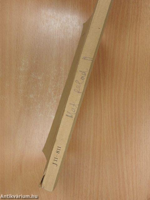 Matematikai feladatok II.